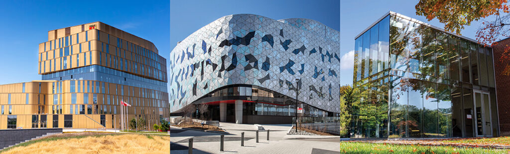 york university