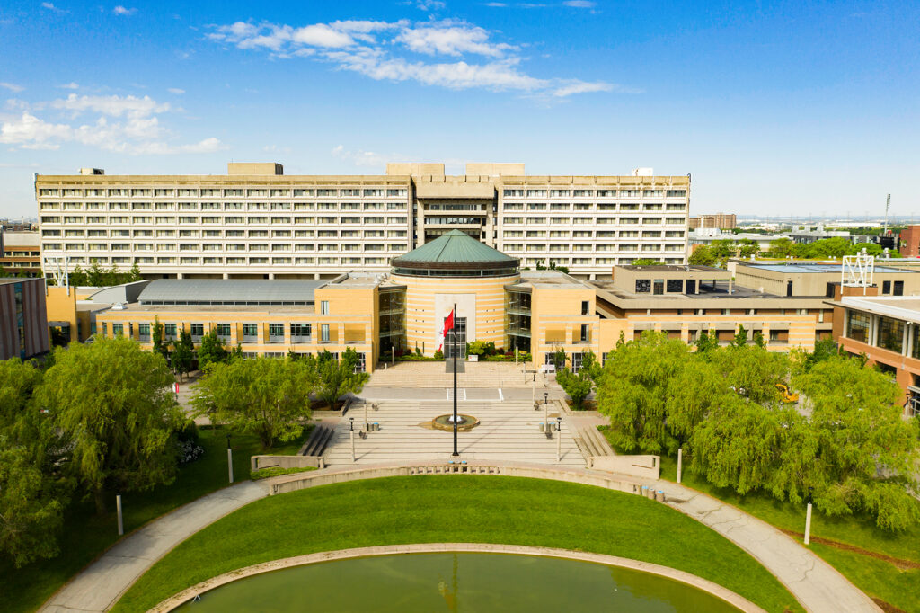 york university
