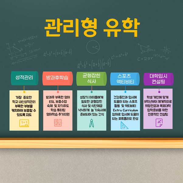 관리형 유학