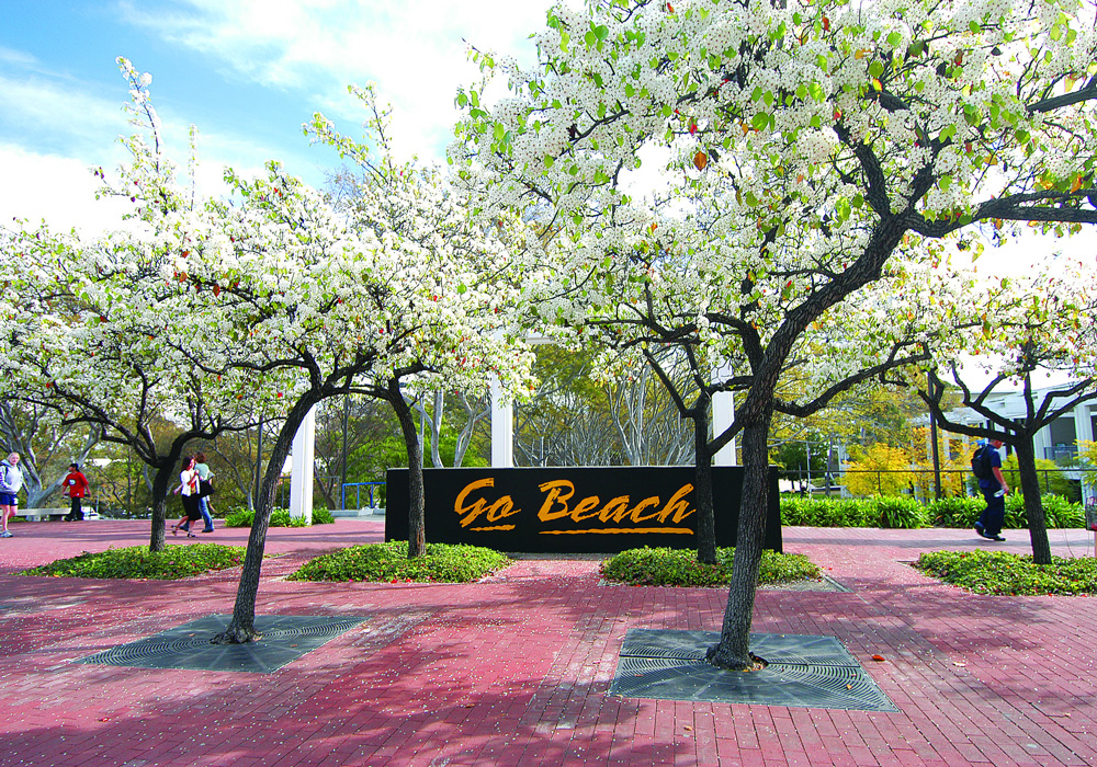 CSU Long Beach