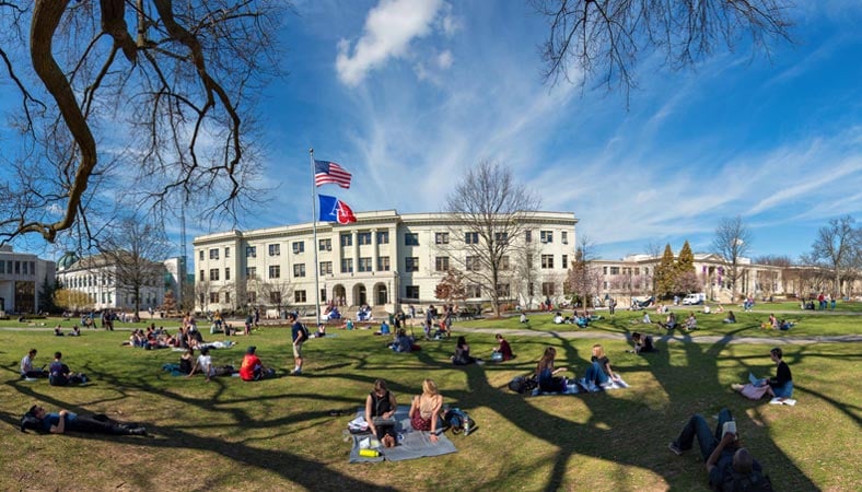 american university grass field