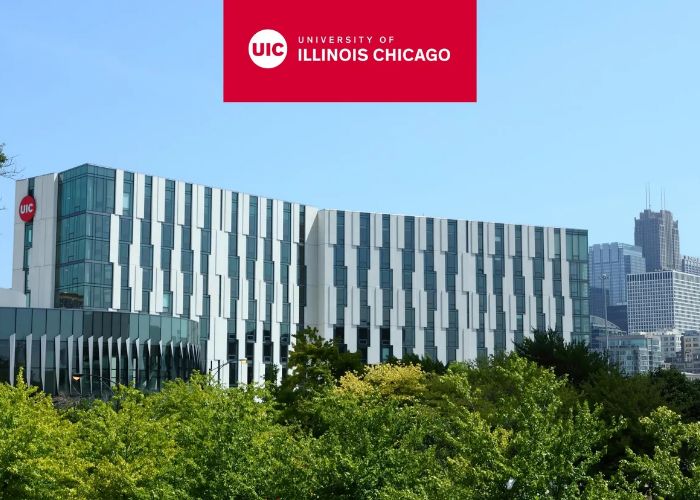 시카고 대학교 University of Illinois Chicago main