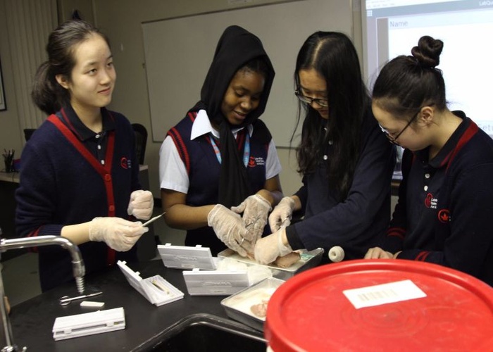 LONDON INTERNATIONAL ACADEMY 학생 수업 2