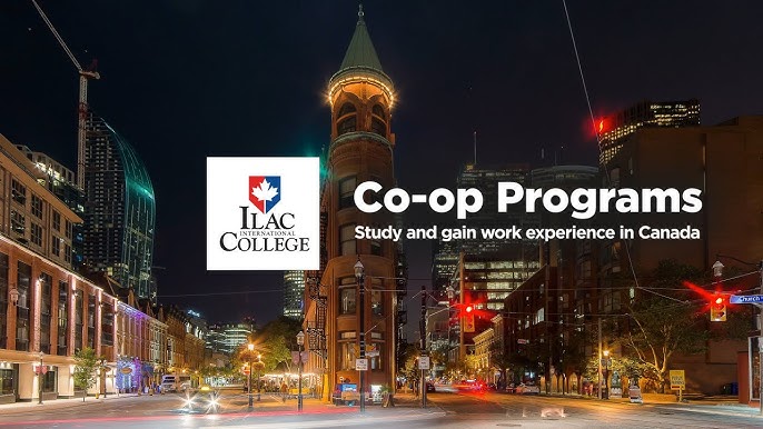 co op program ilac college
