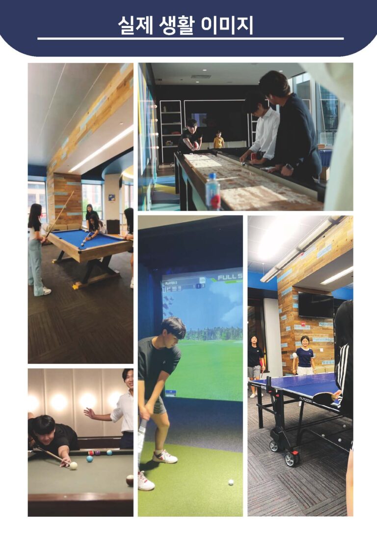 실제 생활 이미지