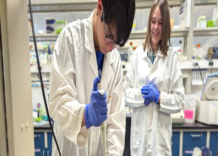 University of South Carolina (USC) 실험실