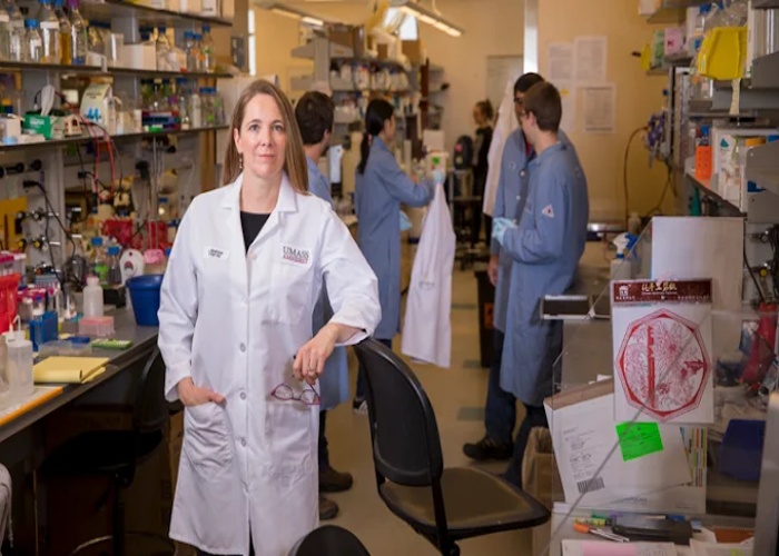 메사추세츠 주립대 실험실