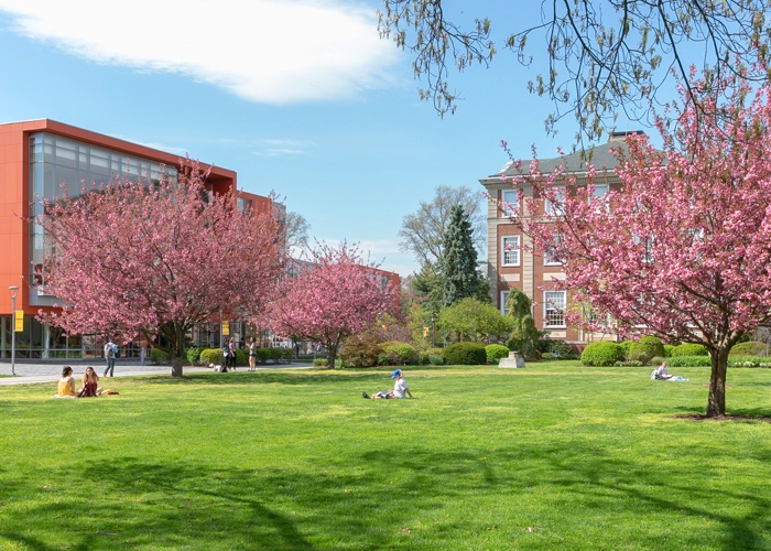 아델파이 대학교 Adelphi University 잔디밭