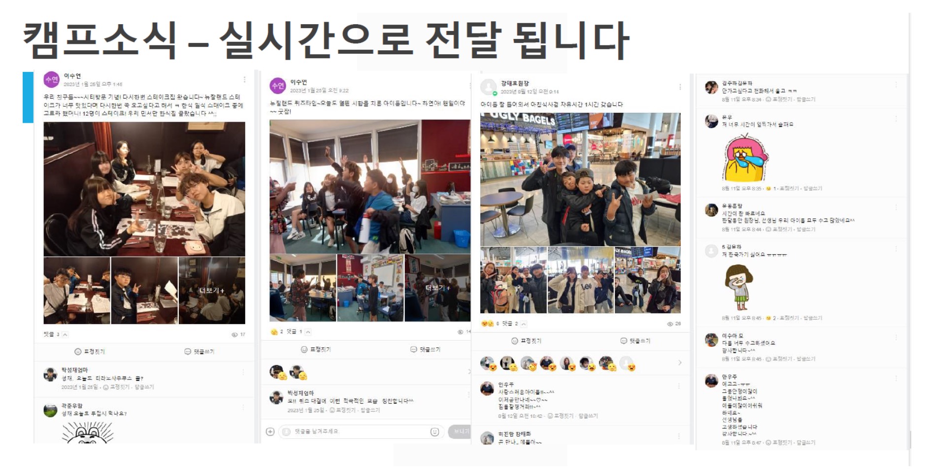 뉴질랜드 스쿨링14