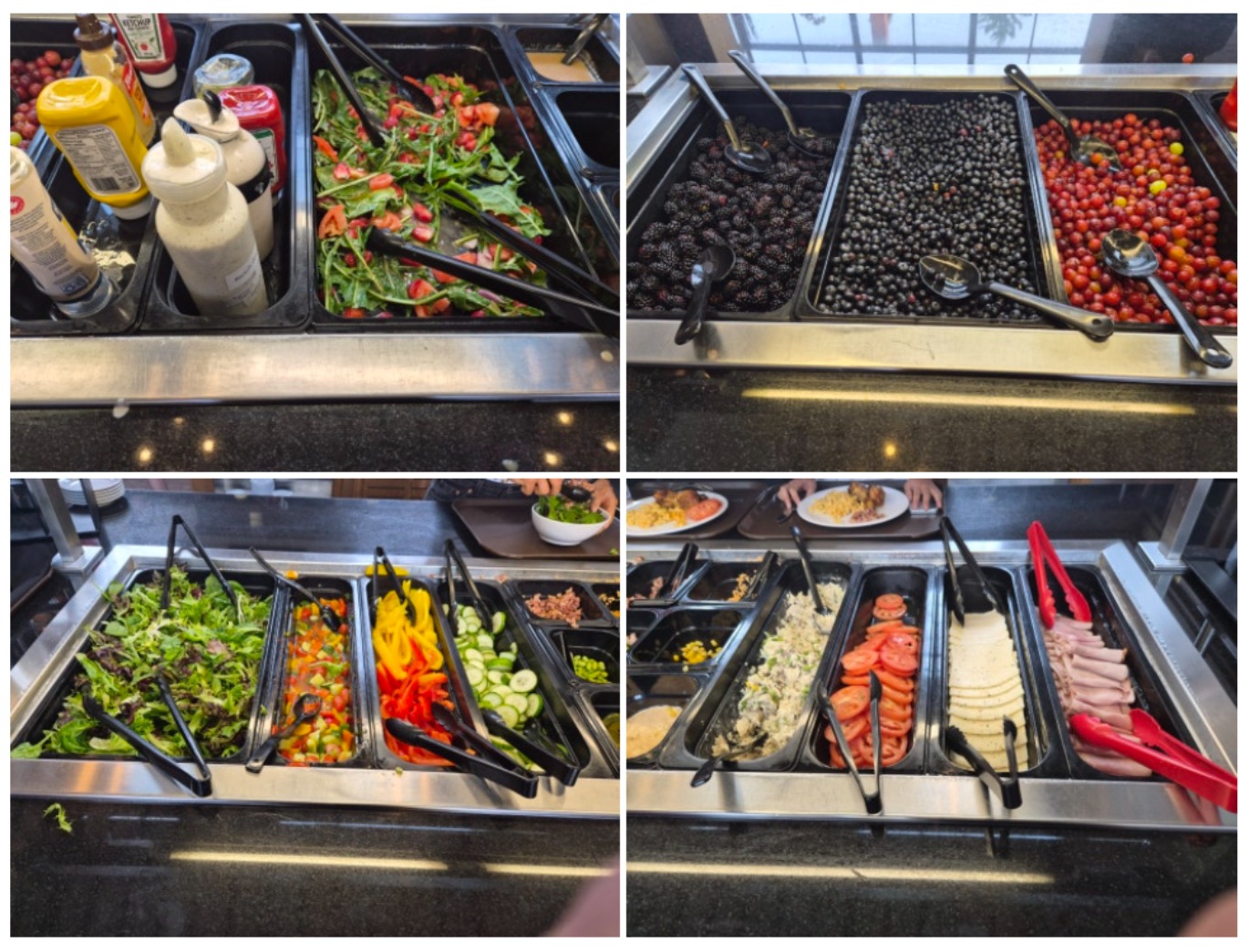 리들리 컬리지 캠프15