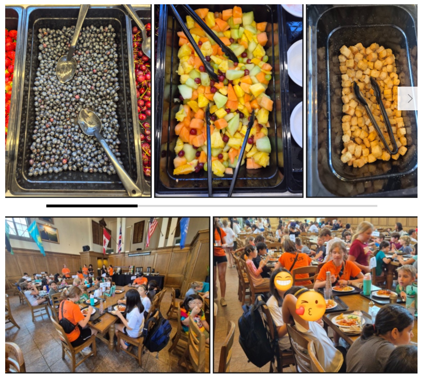 리들리 컬리지 캠프16