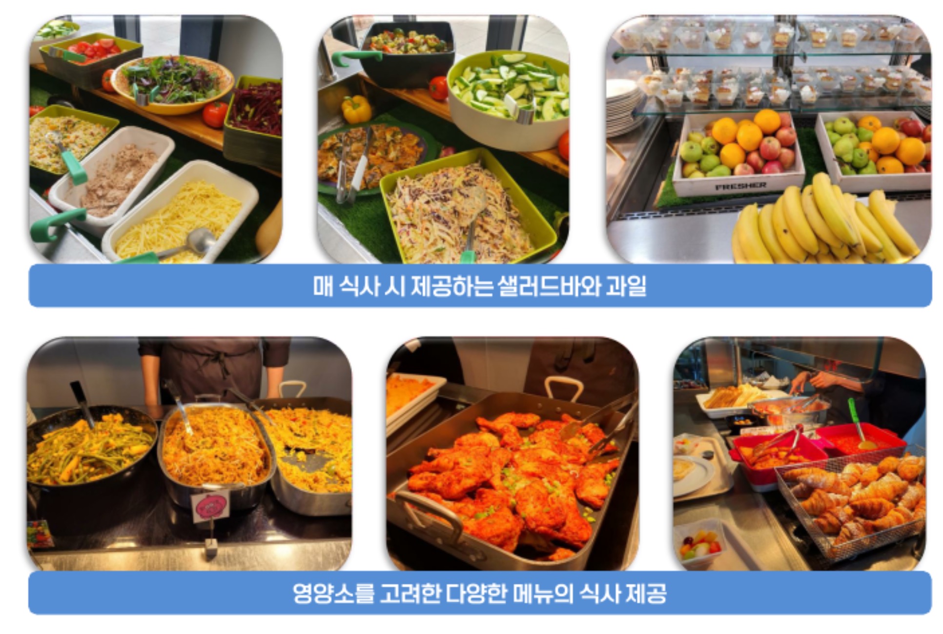 영국 스쿨링 캠프 식사 예시