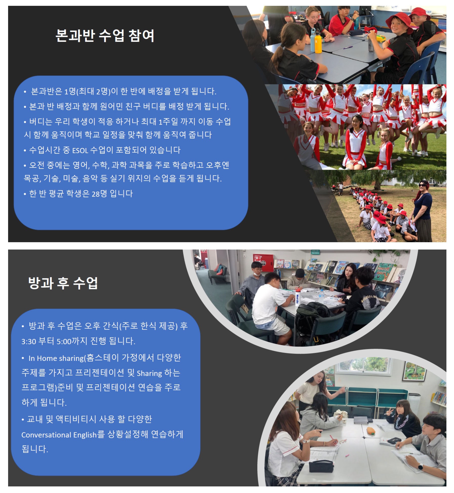 뉴질랜드 스쿨링4