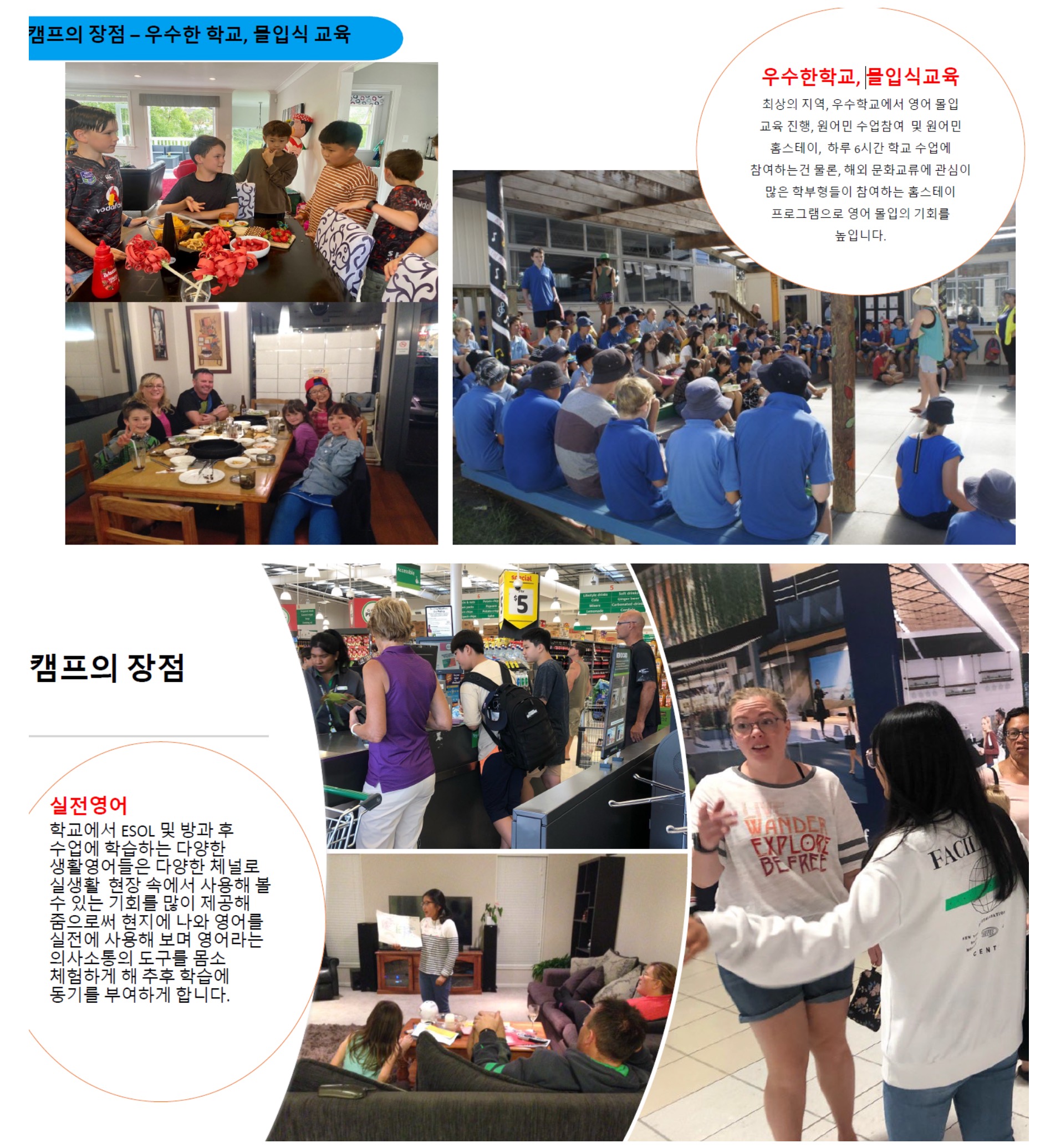 뉴질랜드 스쿨링5