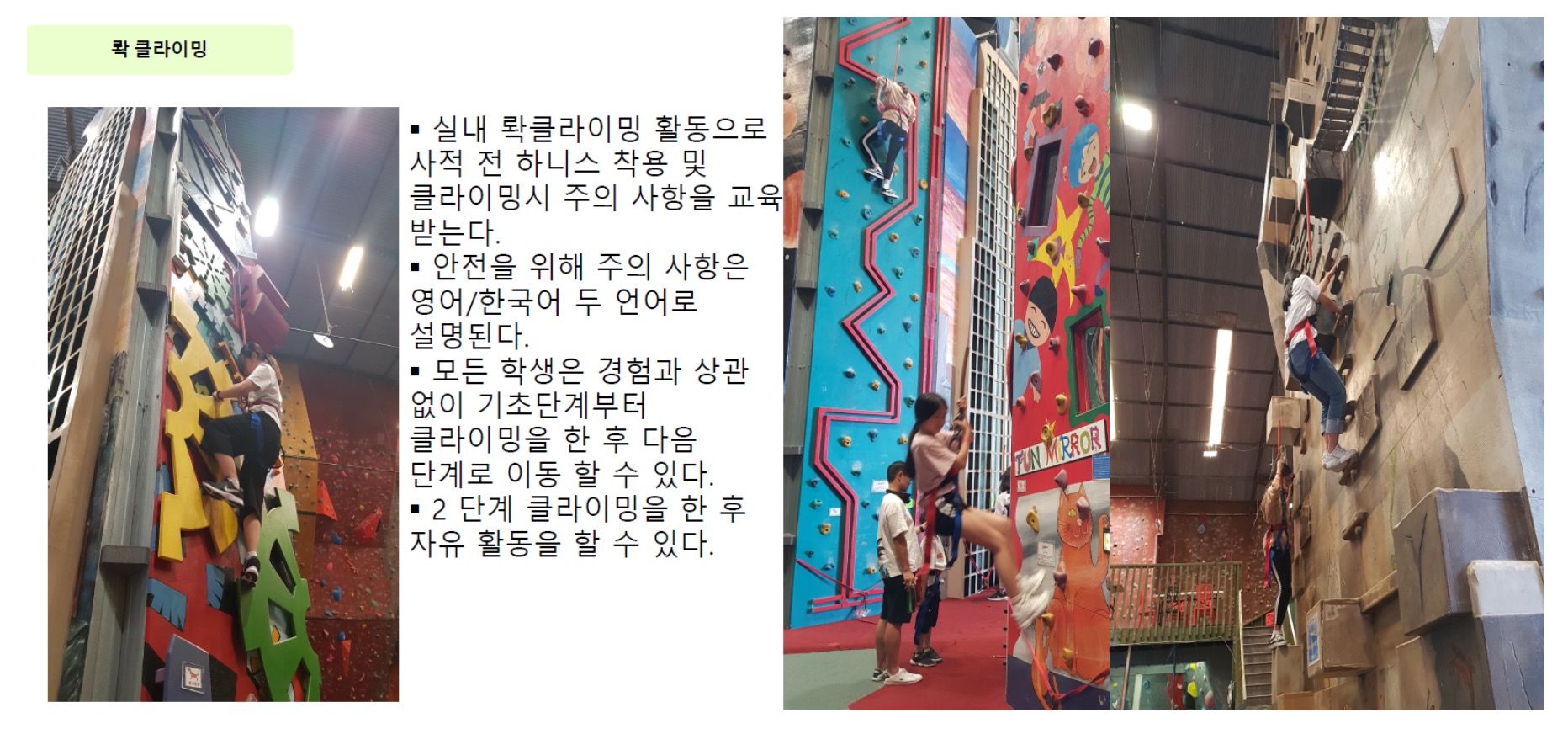 뉴질랜드 스쿨링8