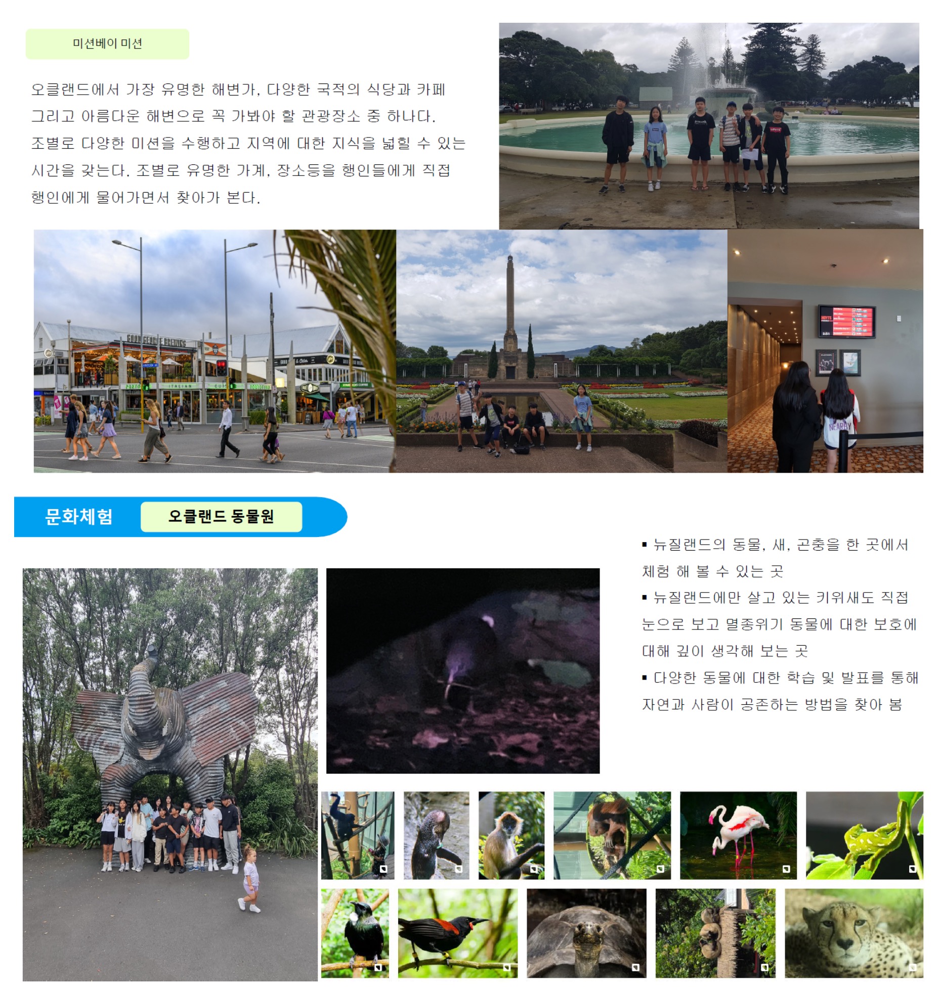 뉴질랜드 스쿨링9