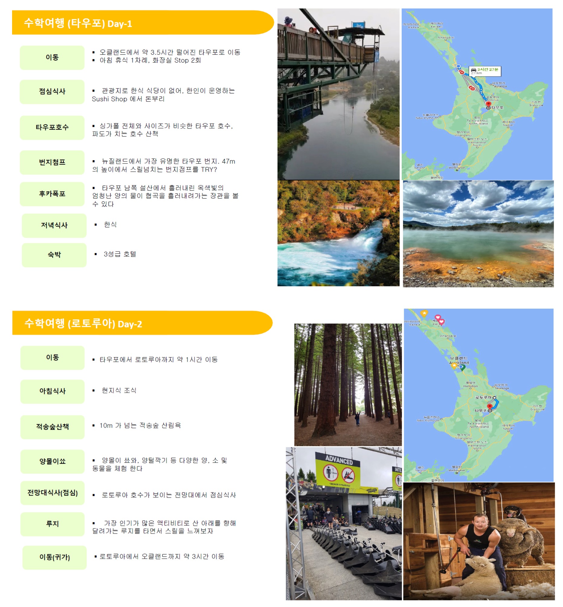 뉴질랜드 스쿨링10