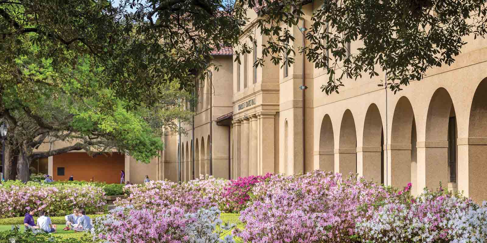 루이지애나 주립대학교 캠퍼스