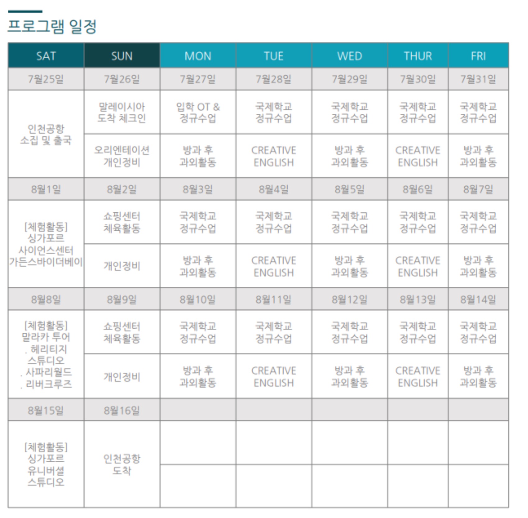 파라곤 스케쥴 스쿨링