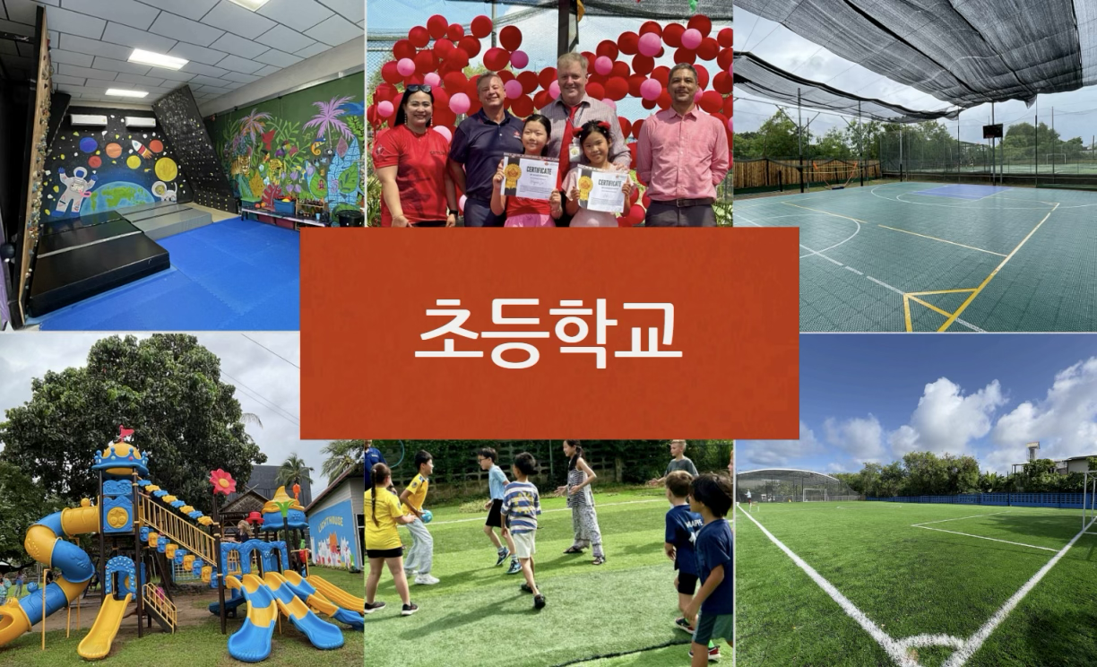 초등학교