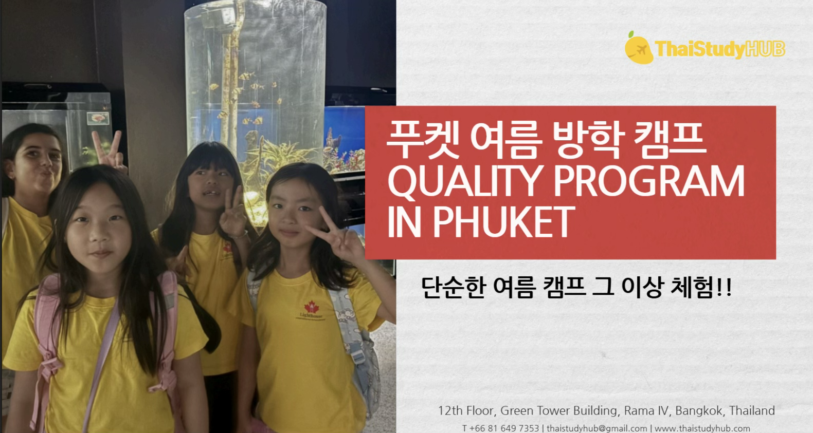 타이틀