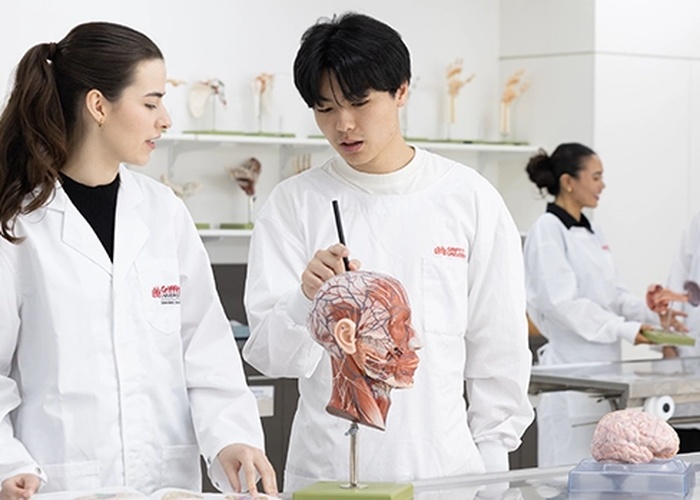 그리피스 대학교 Griffith University