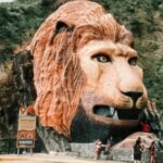 bagio lion
