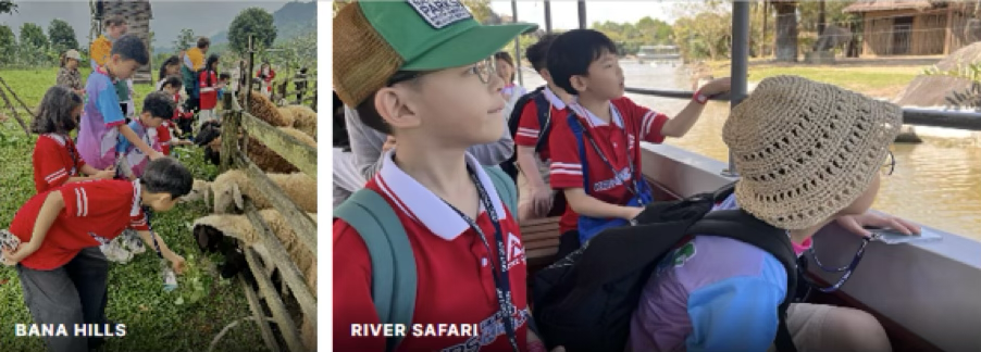 액티비티 6