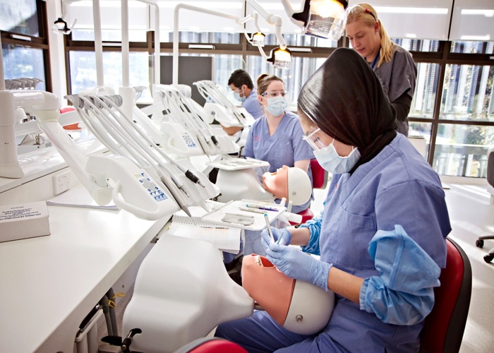 찰스 스튜어트 대학교 Charles Sturt University 치대