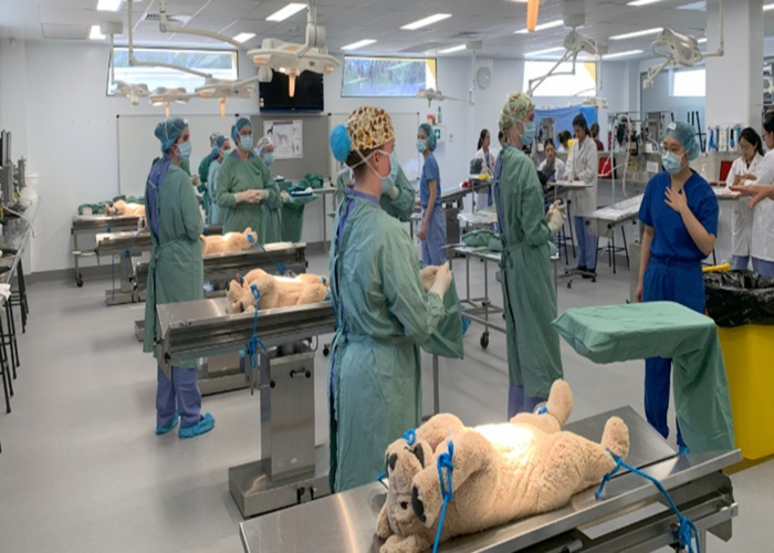 머독 대학교 Murdoch University 수의대