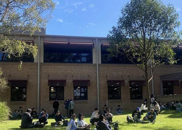 울릉공 대학교 University of Wollongong 간호학과