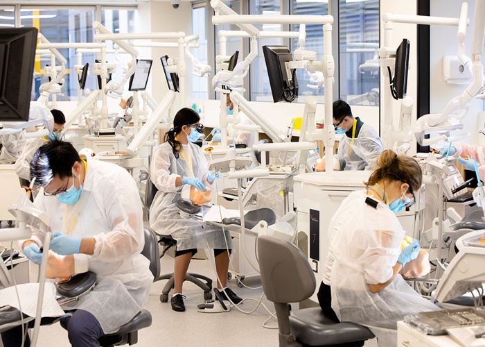 찰스 스튜어트 대학교 Charles Sturt University 치대