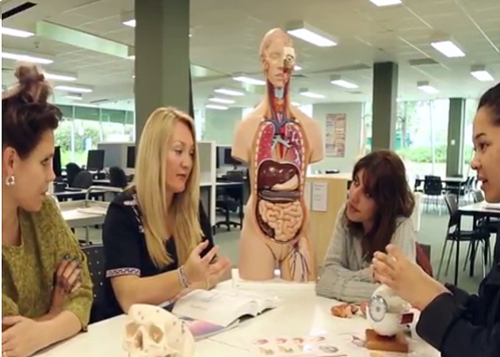 모나쉬 대학교 간호대