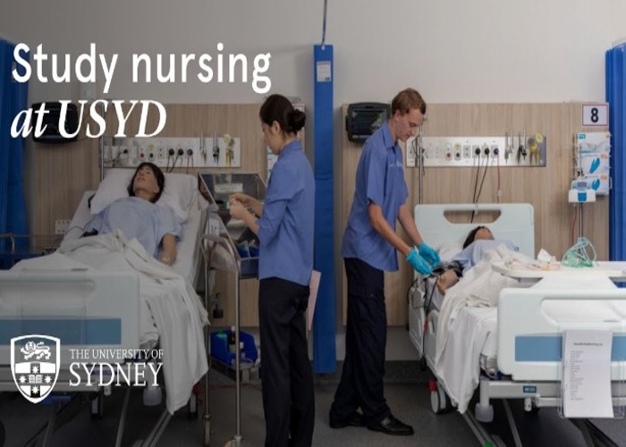 시드니 대학교 The University of Sydney 간호