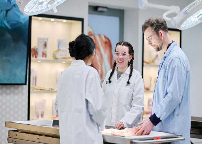 모나쉬 대학교 간호대