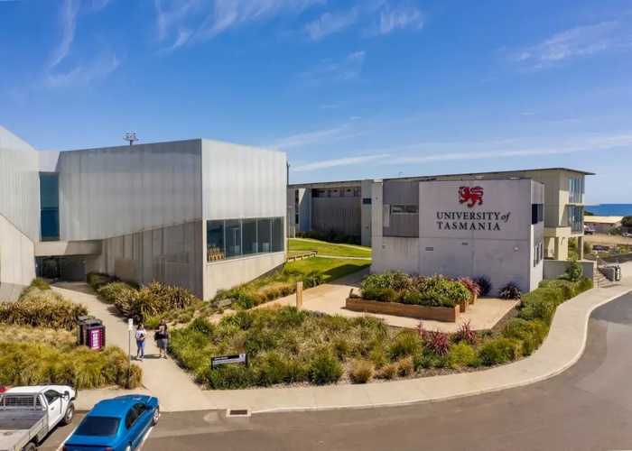 타스마니아 대학교 University of Tasmania 약대