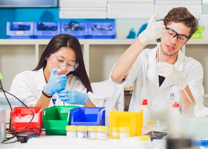 서호주 대학교 University of Western Australia 약대