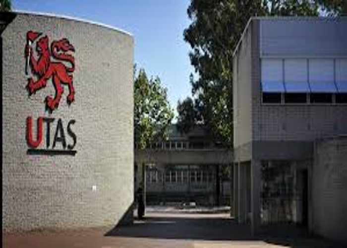 타스마니아 대학교 University of Tasmania 약대