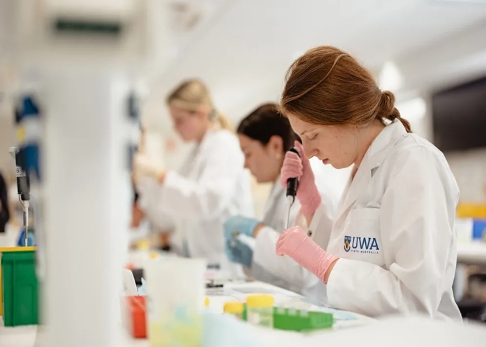 서호주 대학교 University of Western Australia 약대