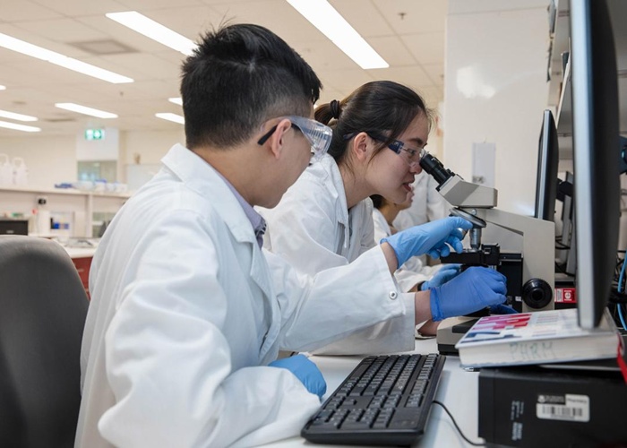 퀸즐랜드 대학교 University of Queensland 약대