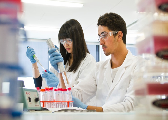 모나쉬 대학교 Monash University 의대 1