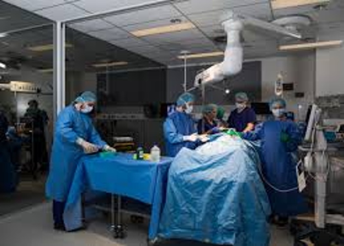 애들래이드 대학교 Adelaide University 의대