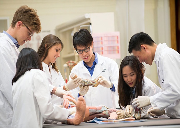 모나쉬 대학교 Monash University 의대 1