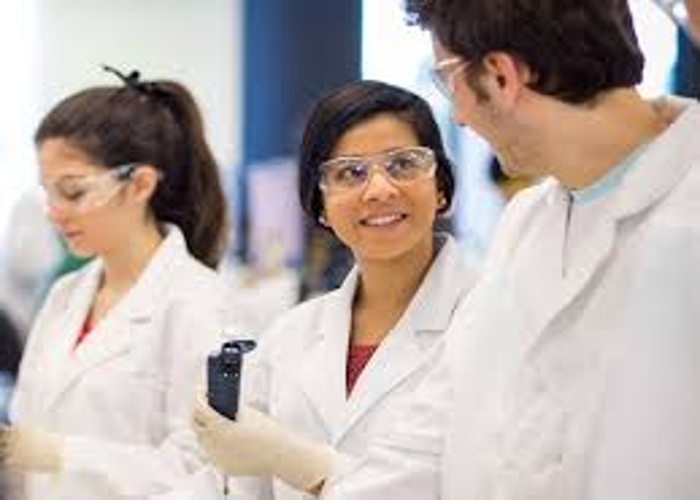 애들래이드 대학교 Adelaide University 의대