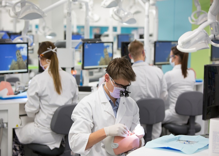 애들레이드 대학교 The University of Adelaide 치대