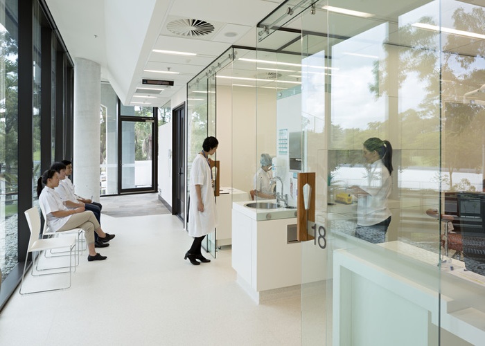 퀸즐랜드 대학교The University of Queensland 치대