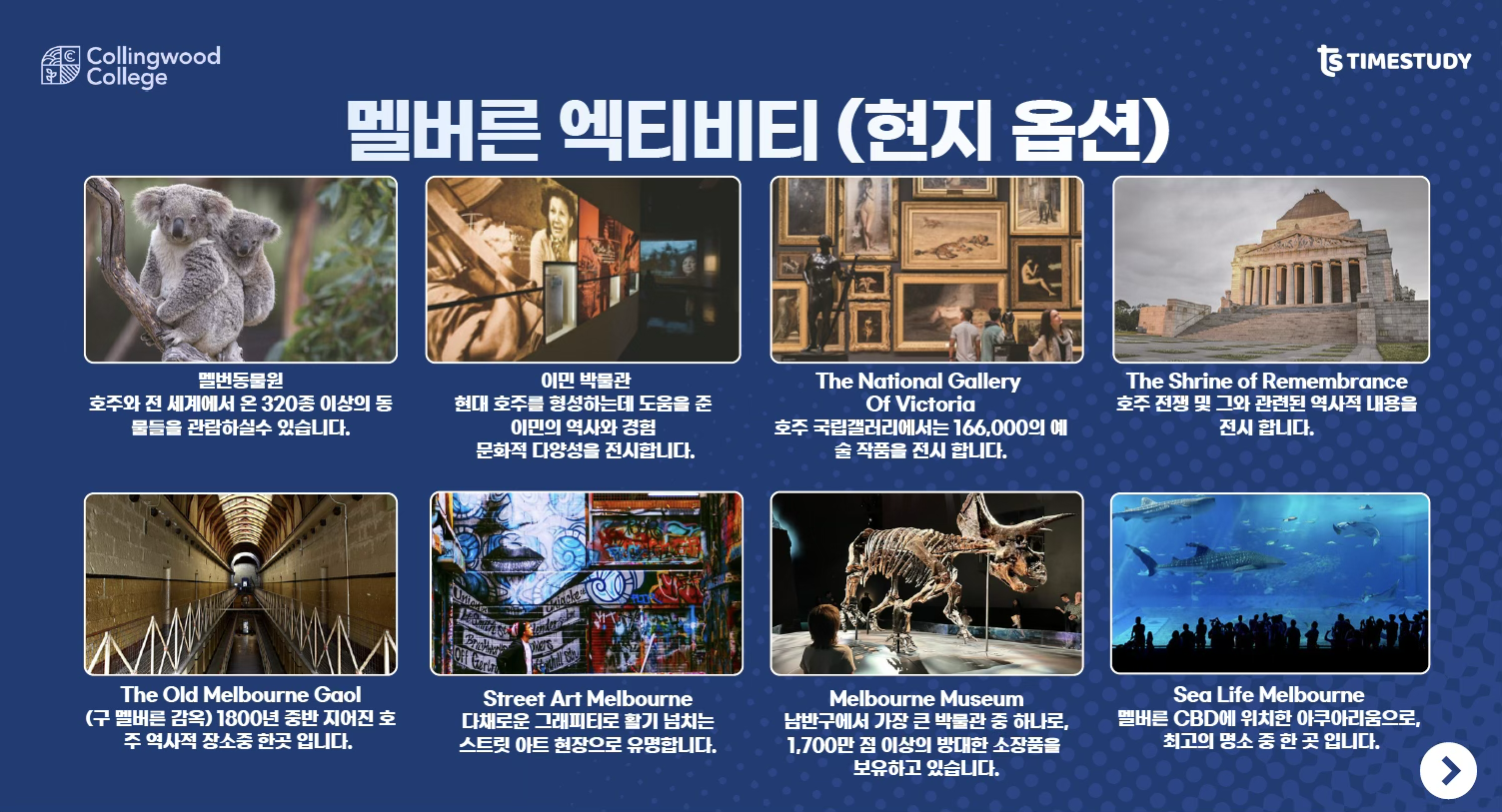 콜링우드 컬리지 스쿨링캠프