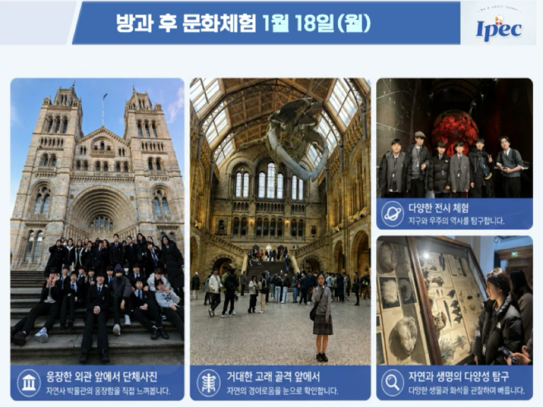 전체일정9