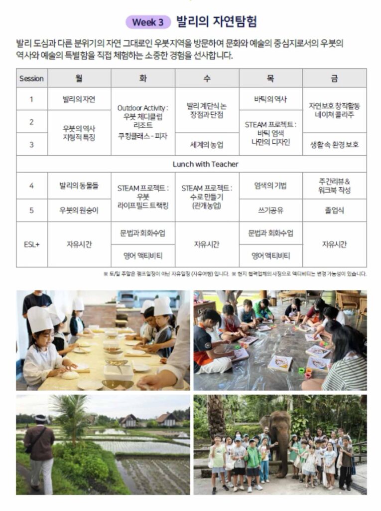 캠프 디테일 5