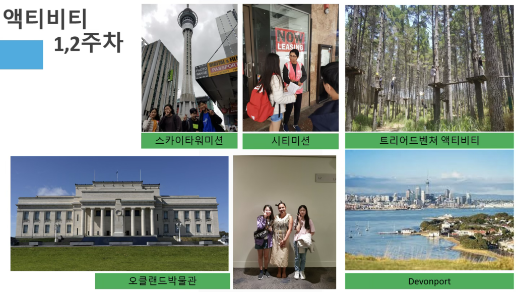 뉴질랜드 캠프 액티비티